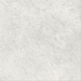 ՍԱԼԻԿ ԿԵՐԱՄՈԳՐԱՆԻՏ 59-59 PARADISE GLOSS GREY 508060391G243