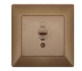 ANURA ԲՆԻԿ ԻՆՏԵՌՆԵՏԻ 1Տ ՈՍԿԵԳՈՒՅՆ AE01412W