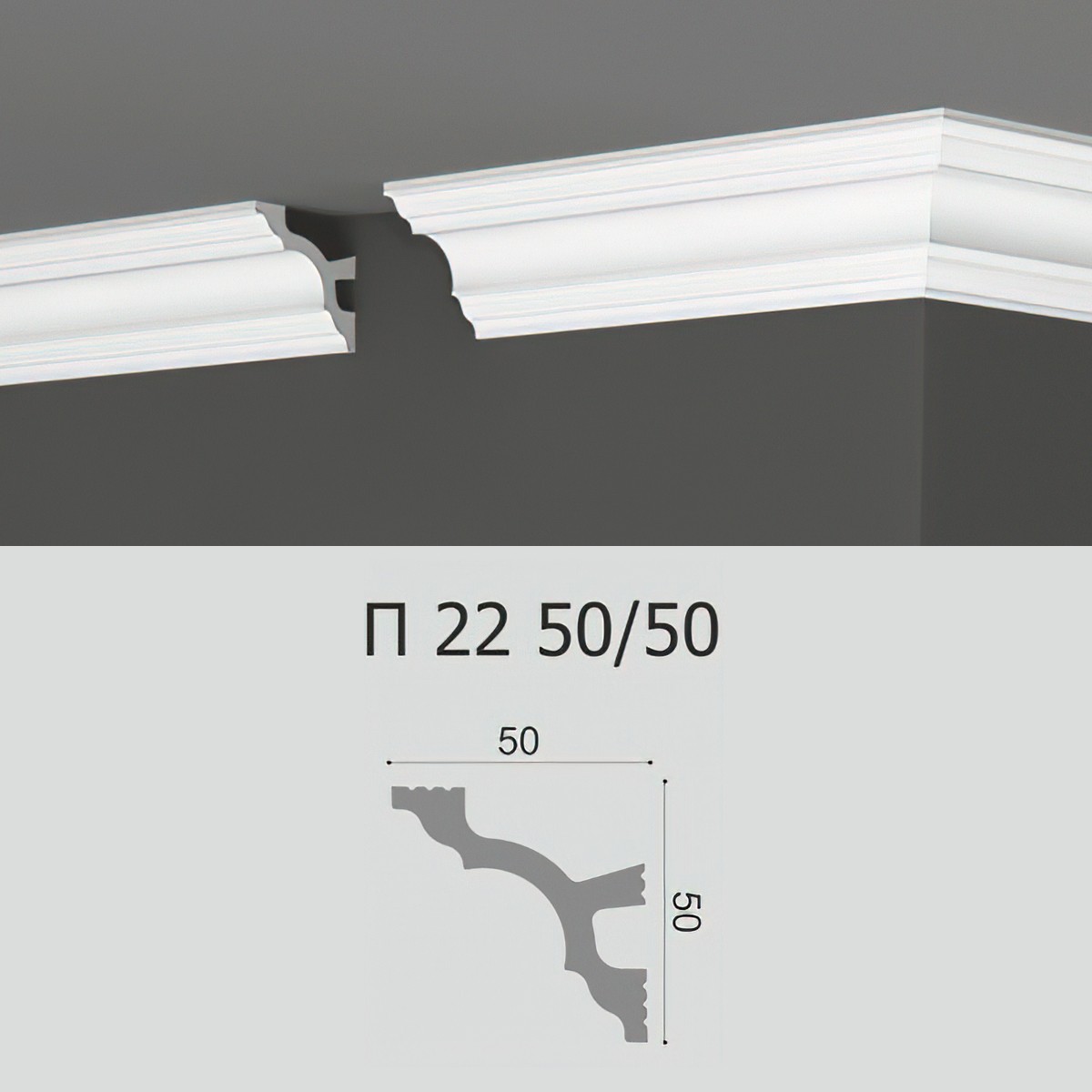 ԿԱՐՆԵԶ ՊԵՆՈՊԼԱՍՏԻՑ P22 50/50