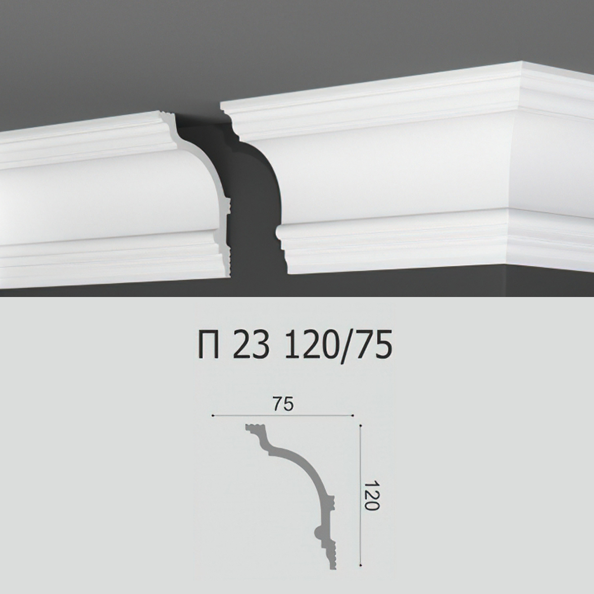 ԿԱՐՆԵԶ ՊԵՆՈՊԼԱՍՏԻՑ P23 120/75